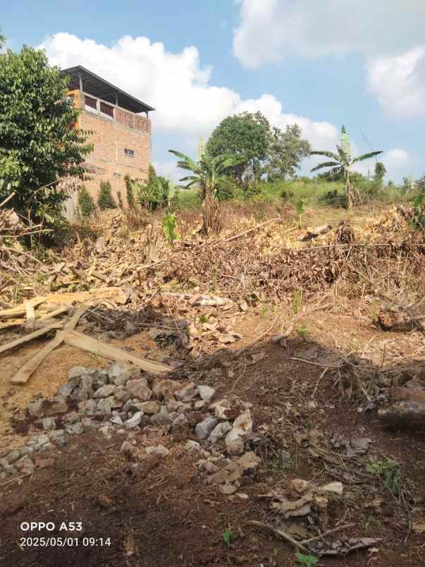 tanah di gunung terang langkapura luas 726m shm