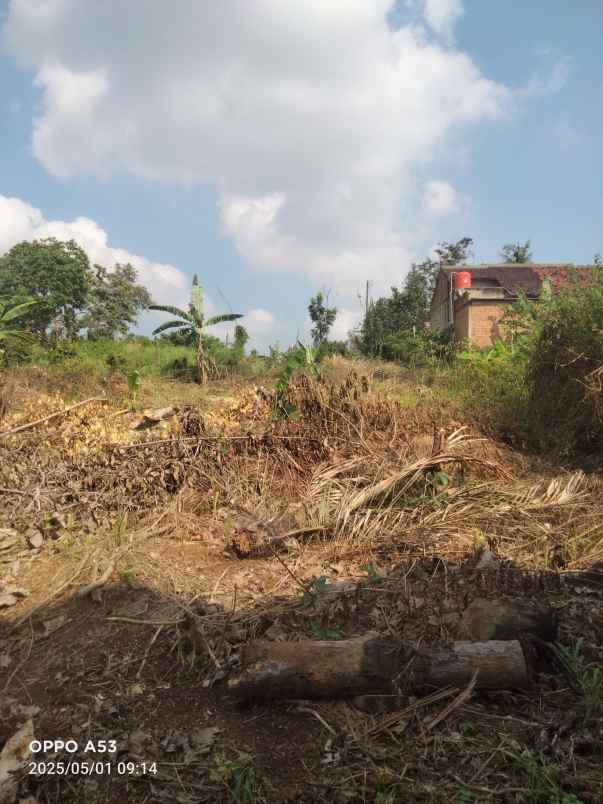 tanah di gunung terang langkapura luas 726m shm