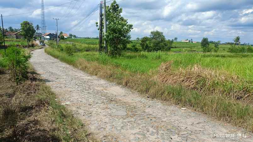 tanah di jatimulyo lampung selatan luas 3760m shm