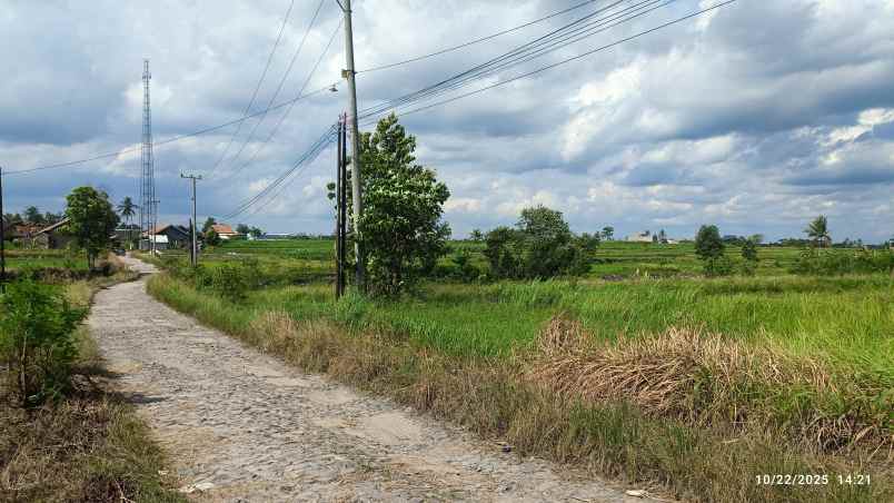 tanah di jatimulyo lampung selatan luas 3760m shm