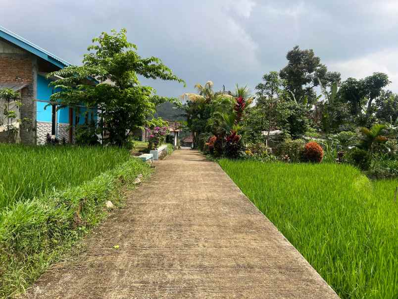 tanah istimewa dekat sungai 750m utara candi cetho
