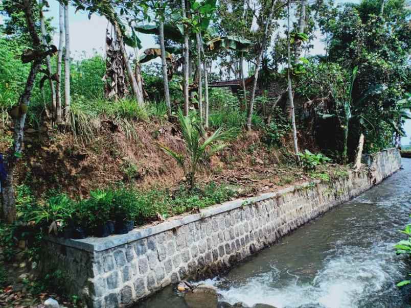 tanah karangpandan karanganyar