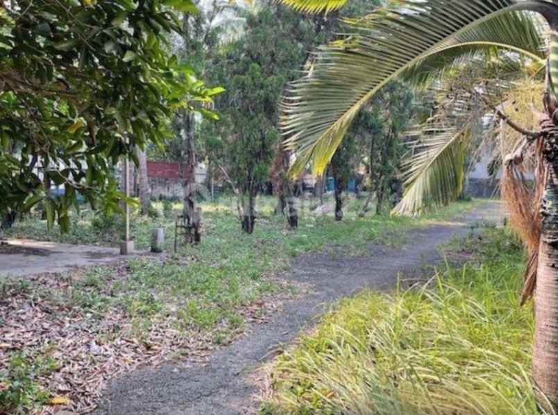 tanah kavling komersil di jalan raya serpong