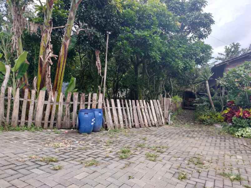 tanah kebun buah murah poros jalan bumiaji kota batu