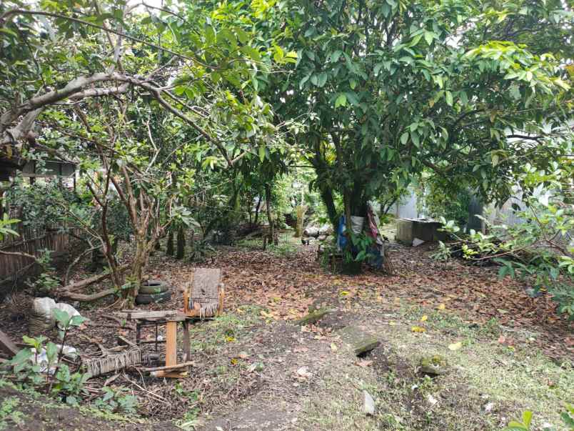 tanah kebun buah murah poros jalan bumiaji kota batu