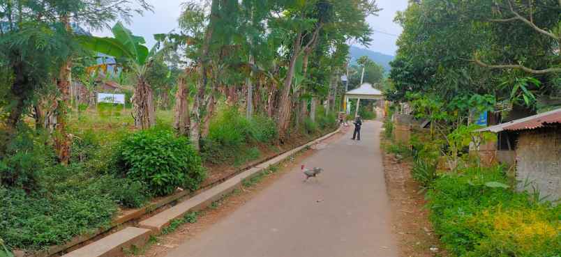 tanah kosong dijual di cikahuripan desa nagrog