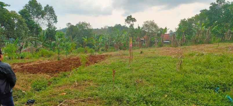 tanah kosong dijual di cikahuripan desa nagrog