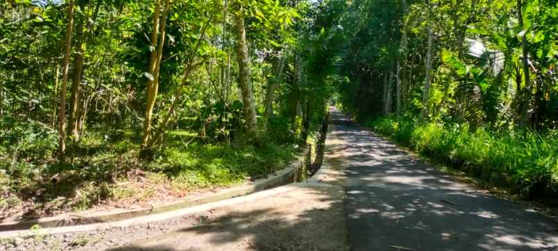 tanah luas barat pasarb kembang