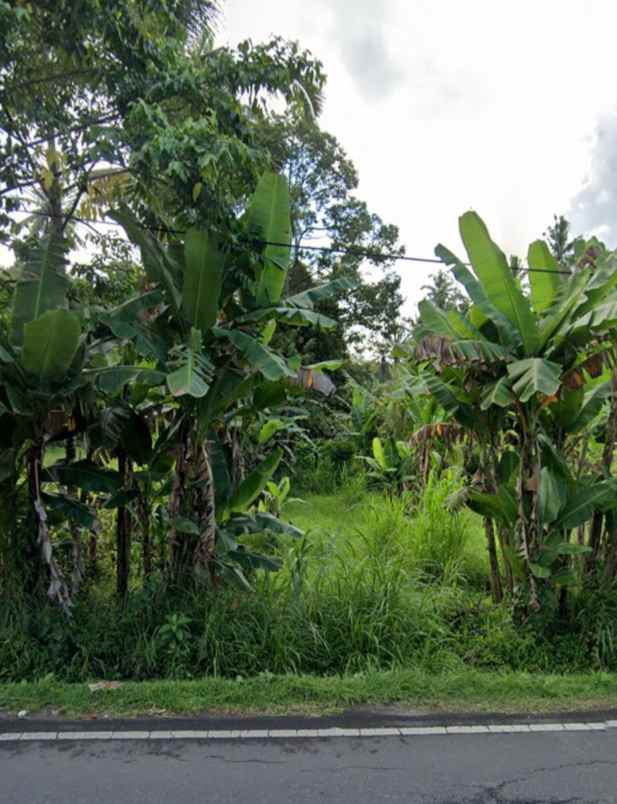 tanah mengwi badung bali