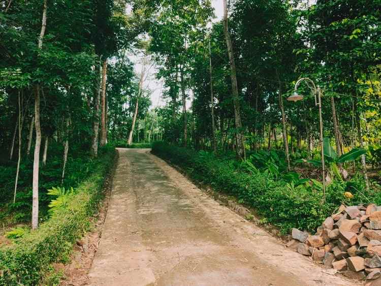 tanah mojogedang karanganyar