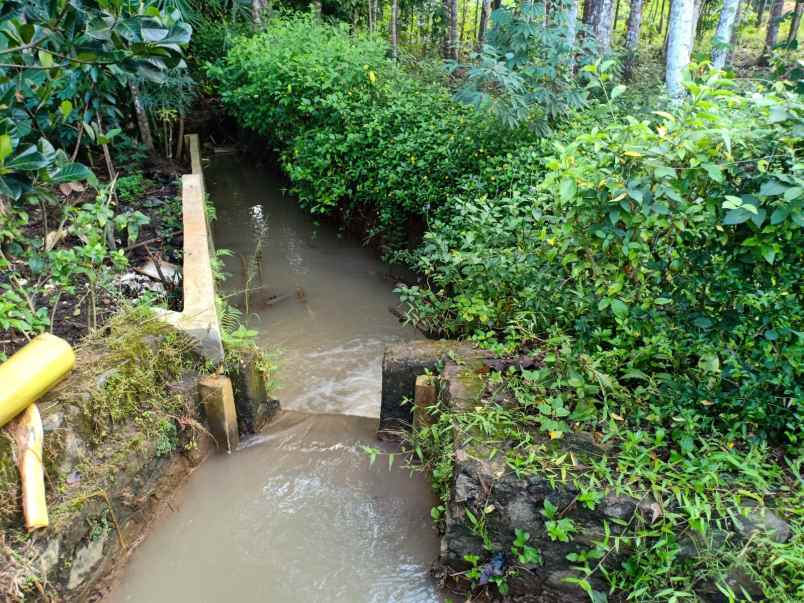 tanah mojogedang karanganyar