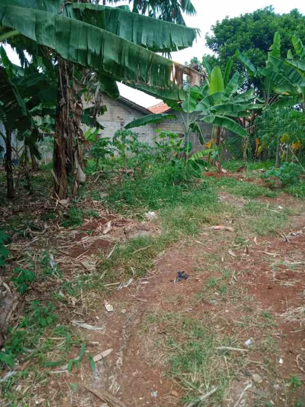 tanah murah 210 m2 akses motor kalibaru depok