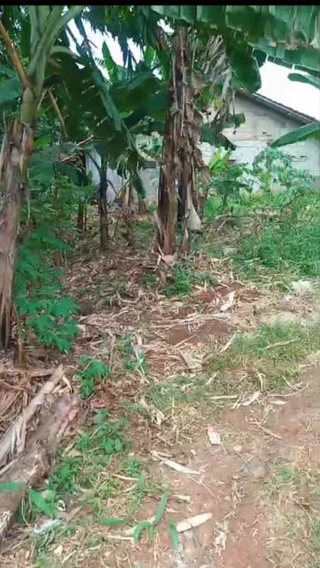 tanah murah akses motor kalibaru depok