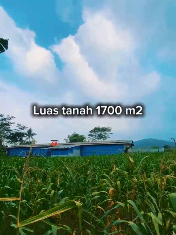 tanah murah banget di karangmalang gunung pati mijen