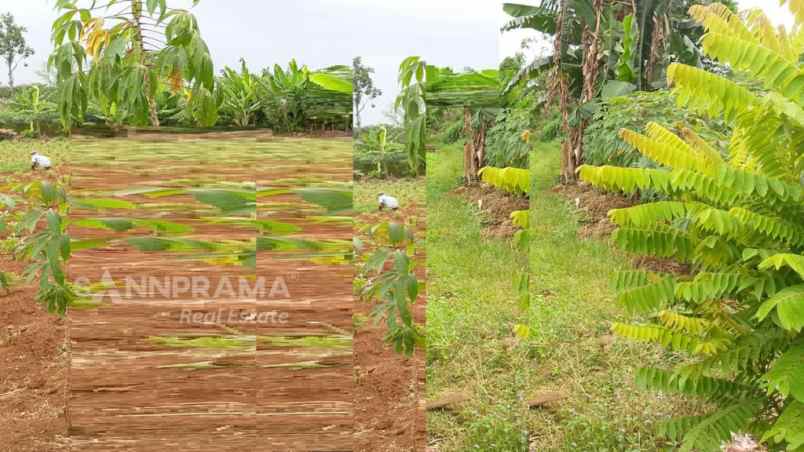 tanah murah bedahan cocok untuk cluster rn