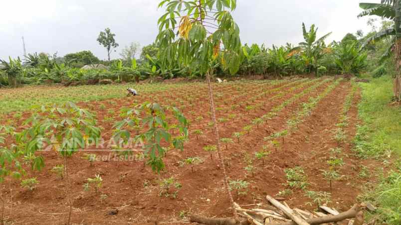 tanah murah bedahan cocok untuk cluster rn