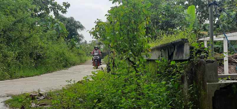 tanah murah di area yogyakarta