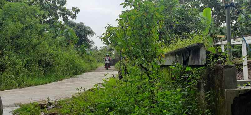 tanah murah di area yogyakarta