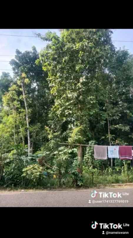 tanah murah luas strategis