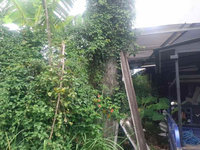 tanah pakis tirtosari strategis