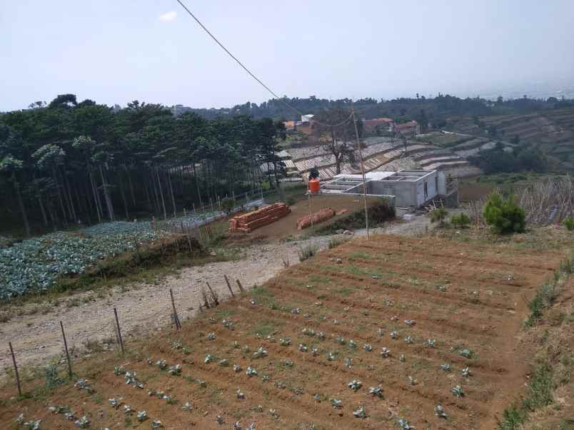 tanah pakuhaji cisarua ngamprah