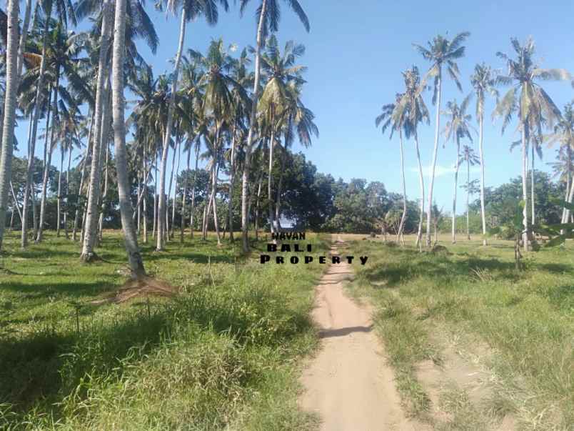 tanah pantai penyaringan