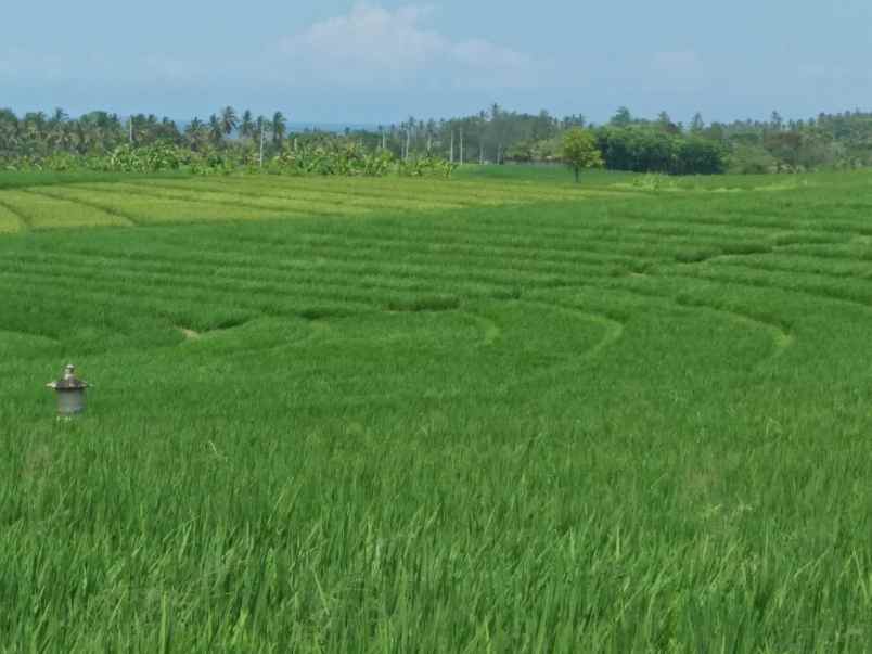 tanah selemadeg tabanan bali