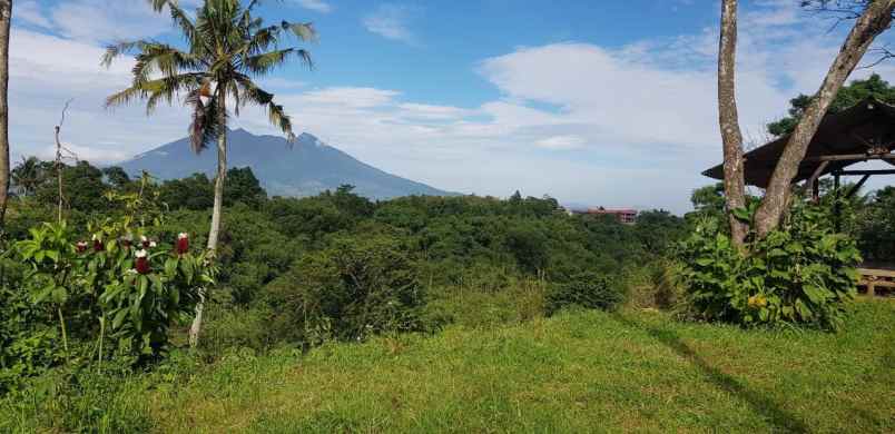 tanah shm 7500 m2 dekat vimala hills puncak bogor