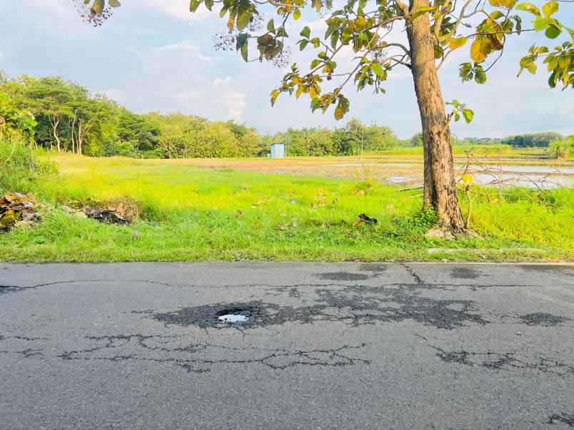 tanah strategis 1595m dekat karanganyar kota
