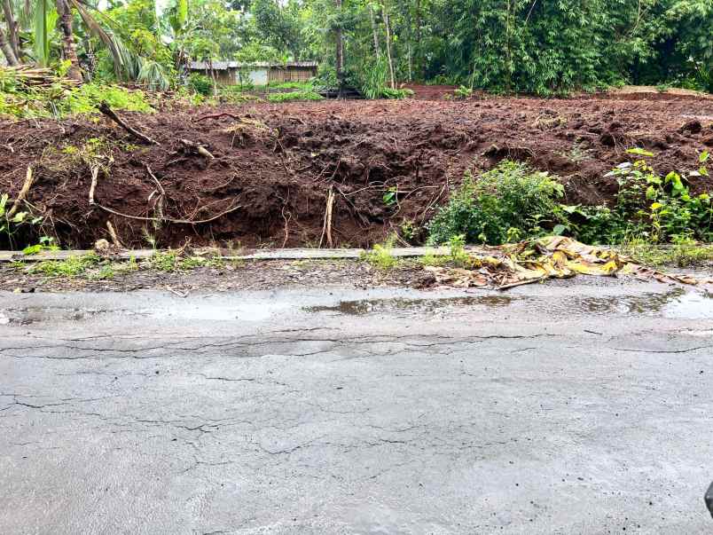 tanah strategis hanya 65 juta batujamus karanganyar