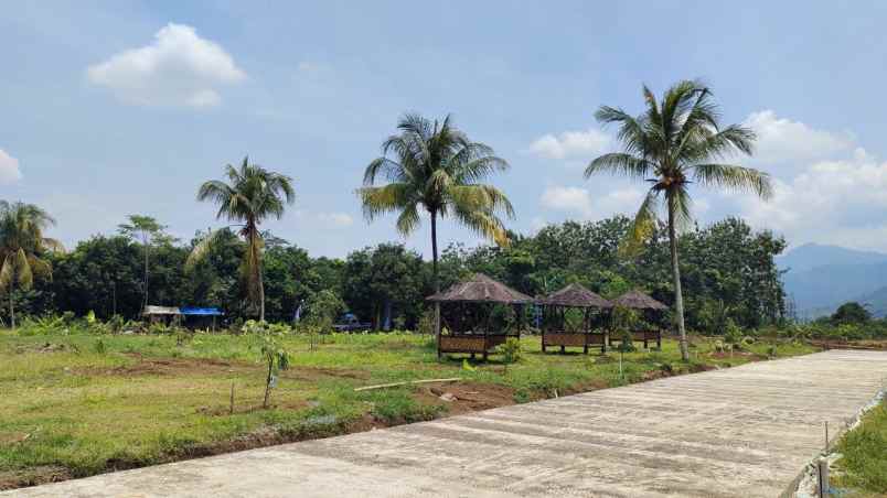 tanah tanjungsari kab bogor