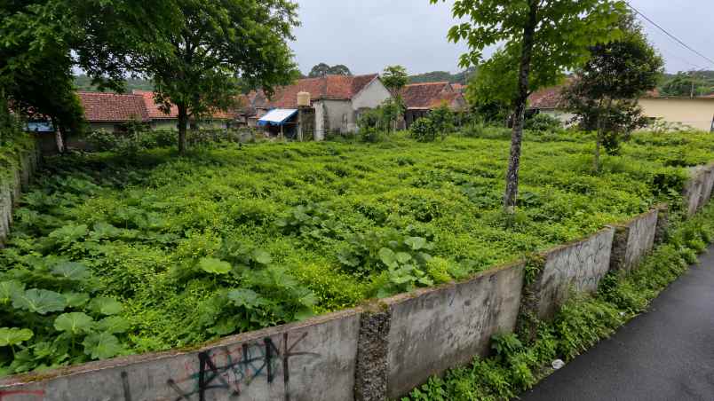 tanah terbaik terakhir di desa kasomalang kulon