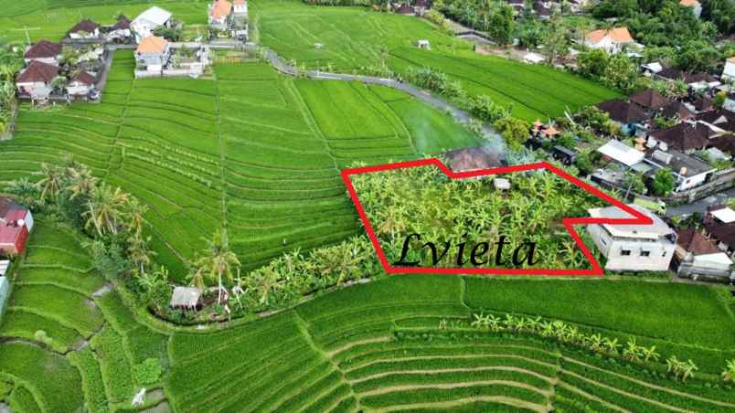 tanah tumbak bayuh canggu lingkungan nyaman