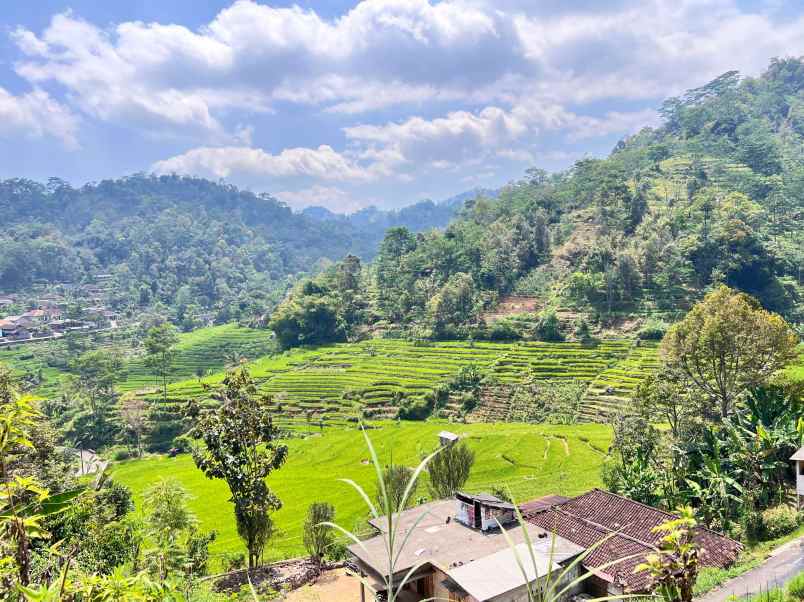 tanah udara dingin 3500m kota wisata kemuning