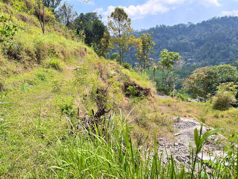 tanah udara dingin 3500m kota wisata kemuning