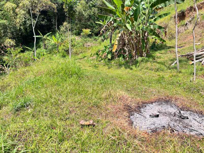 tanah udara dingin 3500m kota wisata kemuning