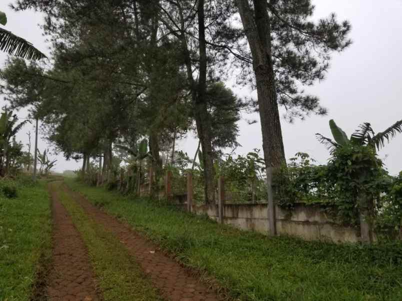 tanah untuk villa view gn pangrango gn dede