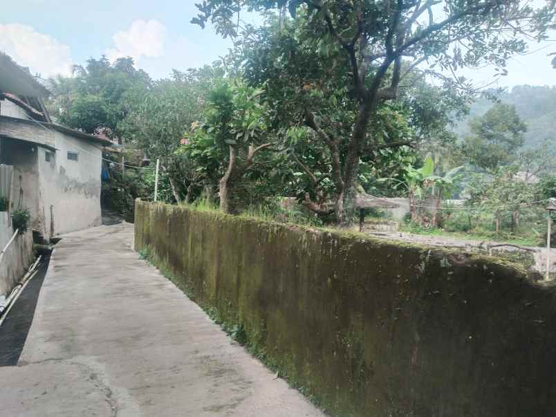 vila dan kolam ikan cijambe subang jawa barat