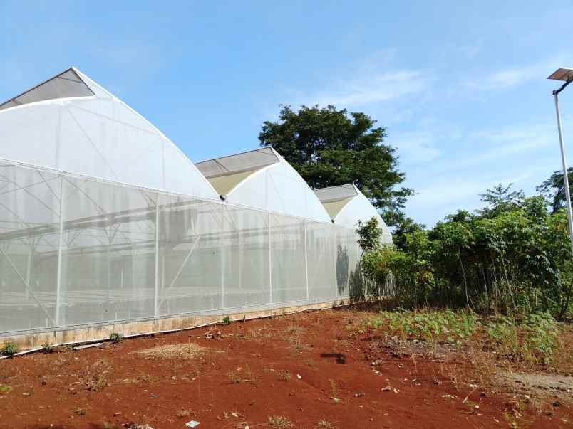 vila kebun produktif cijambe subang jawa barat
