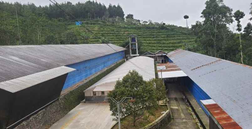 villa dan peternakan ayam di gunung kawi malang