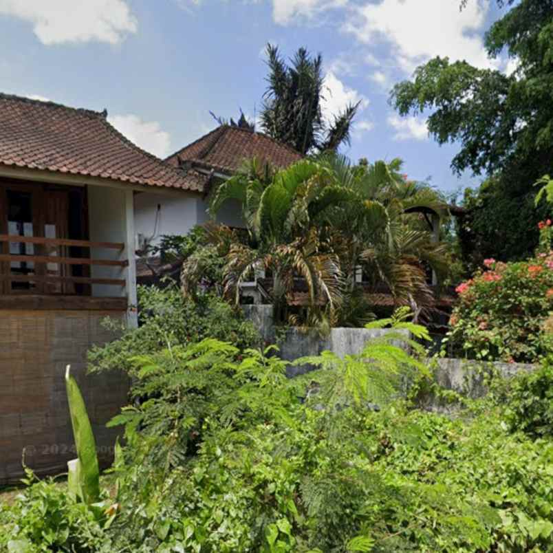 dijual 5 are jl krisna berawa tandeg tibubeneng canggu