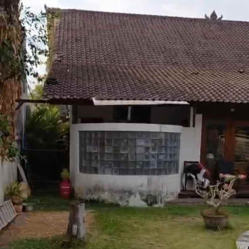 dijual 5 are jl krisna berawa tandeg tibubeneng canggu