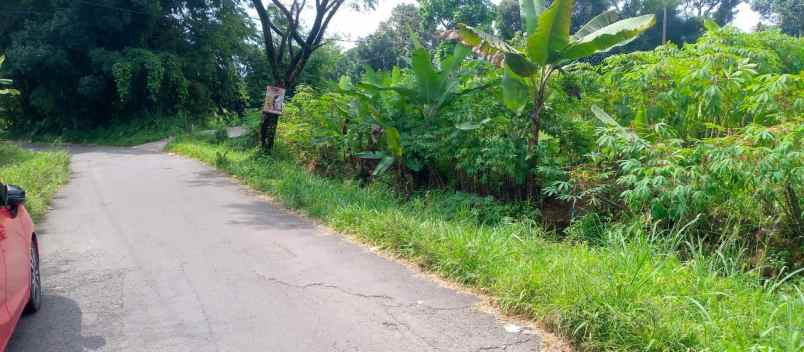 dijual murah tanah di taman sari ciapus surat shm