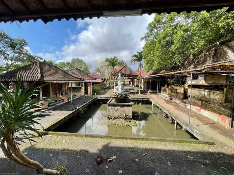 dijual ruko gudang kantor desa mas kec ubud kab