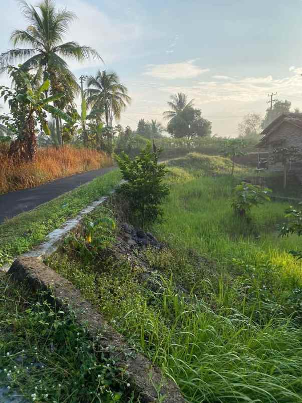 dijual rumah bulakan kec cibeber kota