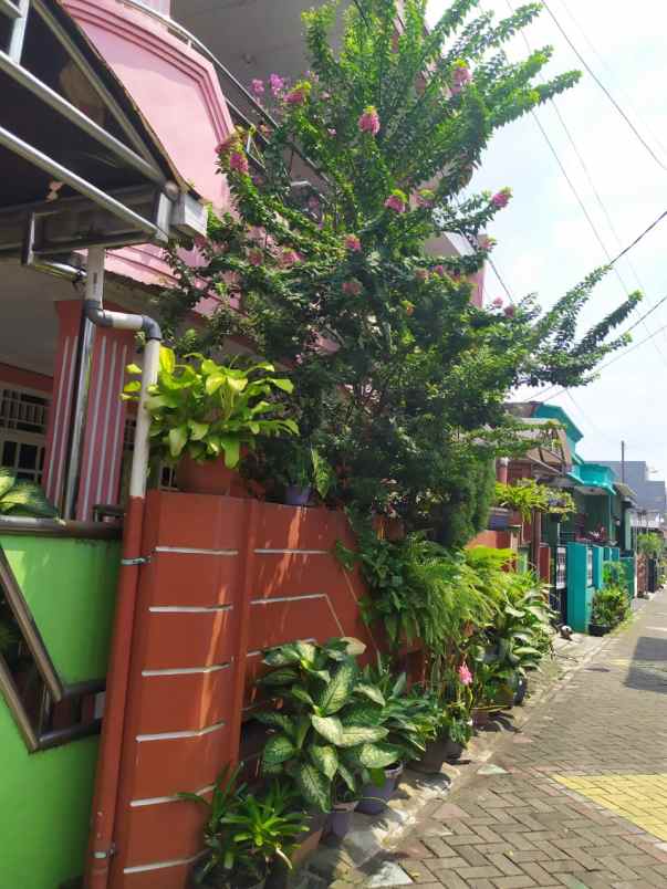 dijual rumah jalan kakatua