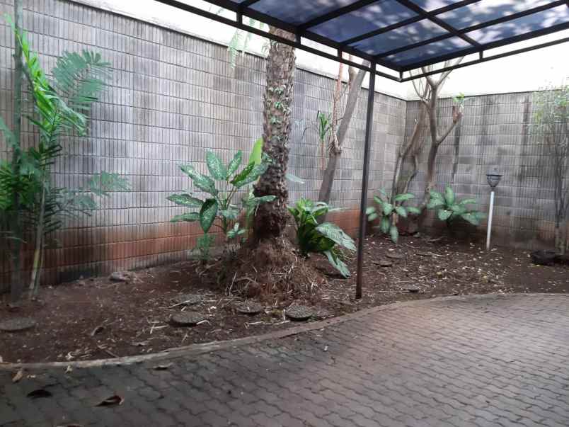 dijual rumah jalan tegal