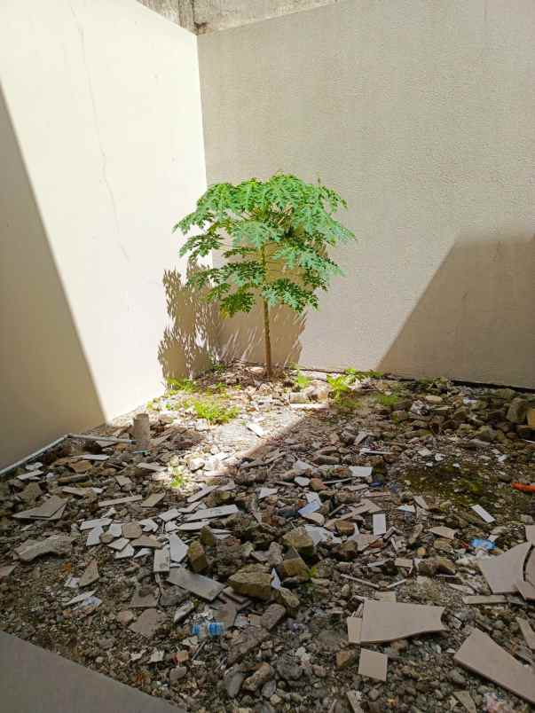 dijual rumah kav dki meruya utara jakbar