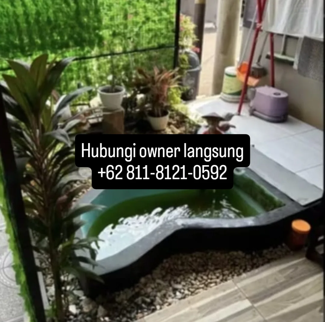 dijual rumah mampang