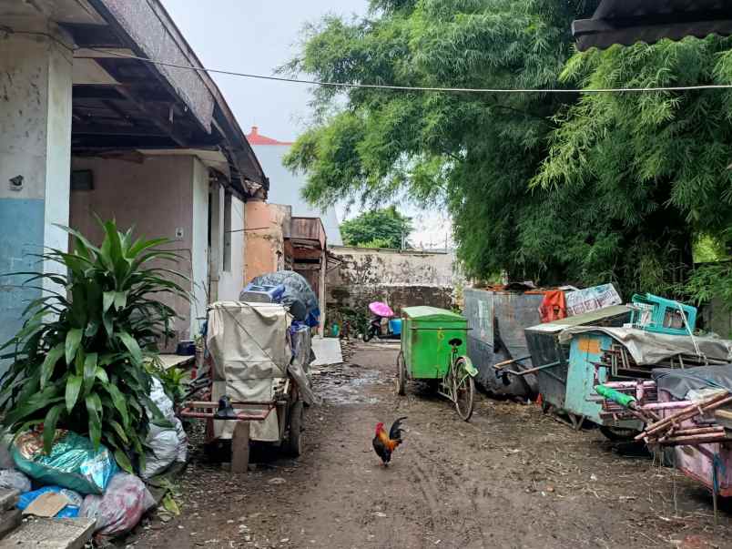 dijual rumah raya pandegiling kec tegal